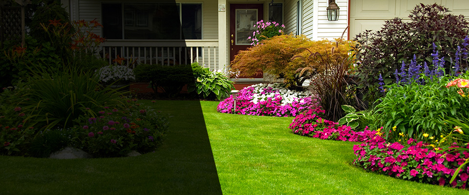 Bronson Landscapers