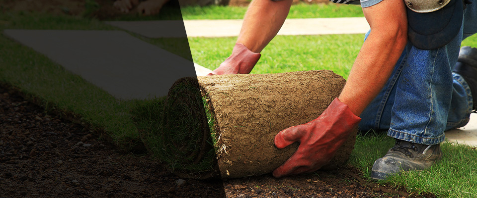 Bronson Landscapers